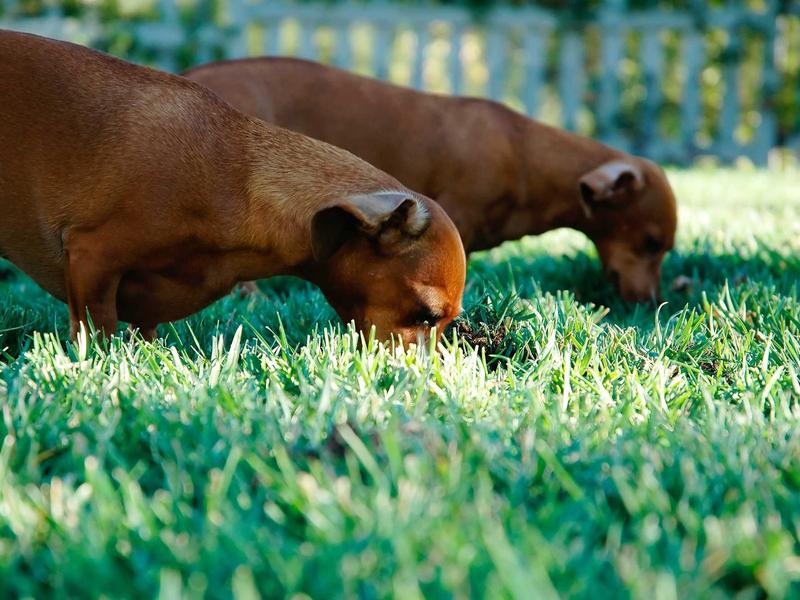 sudoku brain training screenshot 4