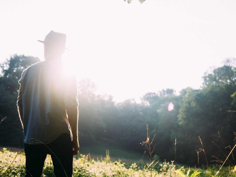 sudoku brain training